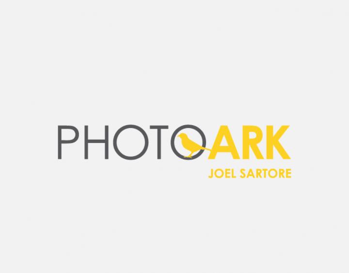 Photoark Logo